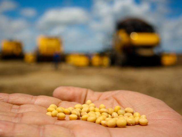 Proje&ccedil;&atilde;o de aumento no consumo de soja deixa produtores otimistas