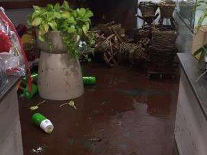 Chuva na madrugada enche c&oacute;rregos, alaga casas e causa destrui&ccedil;&atilde;o