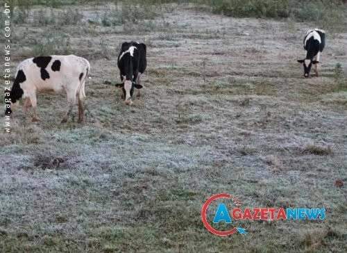 Massa de ar polar tem sensa&ccedil;&atilde;o de -5&ordm;C e geada em Mato Grosso do Sul