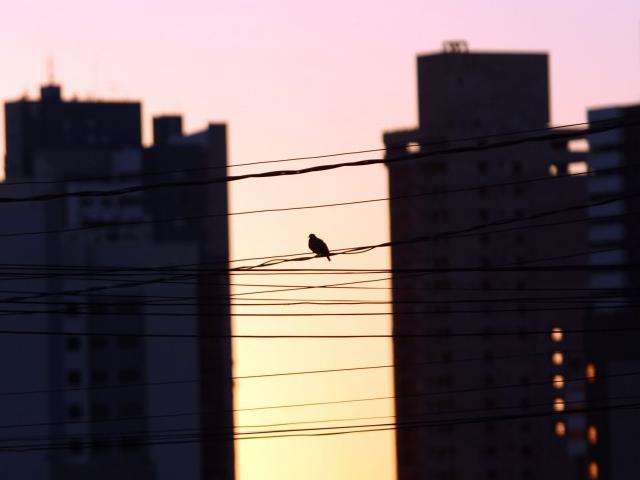 Sem previs&atilde;o de chuvas, segunda-feira ser&aacute; de calor e tempo seco