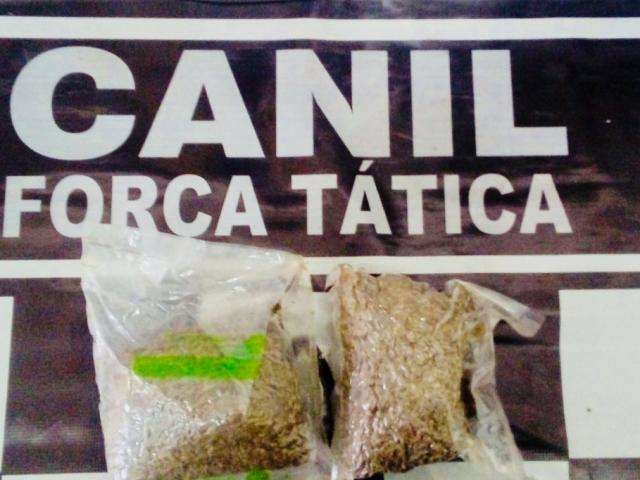 Morador de aldeia &eacute; flagrado com super maconha em &ocirc;nibus 