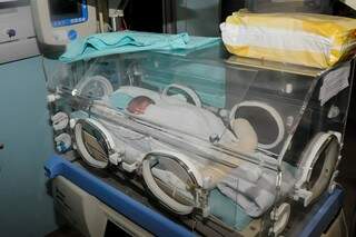 Lugar recebe bebês que nasceram com 6 e 7 meses (Foto: Paulo Francis)