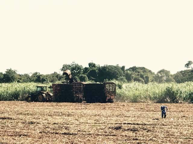 Agricultura estima em R$ 535,4 bilh&otilde;es valor bruto da produ&ccedil;&atilde;o agropecu&aacute;ria
