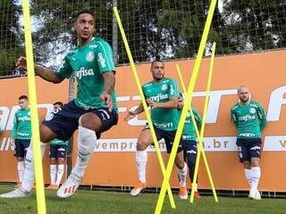Elenco do Verdão faz treino físico antes de jogo pelo Brasileiro (Foto: Cesar Greco/Ag Palmeiras/Divulgação)