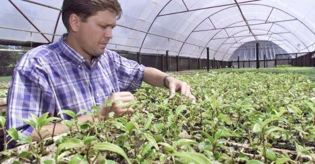 MEC autoriza funcionamento do curso de Agronomia em Tr&ecirc;s Lagoas