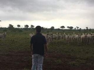 Mateus Marassa criou o site com filmagens de lotes de gado, para facilitar a venda e compra de animais (Foto: Divulgação)