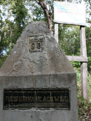  Fazendas invadidas por kadiw&eacute;us no Pantanal ter&atilde;o vacina&ccedil;&atilde;o contra aftosa 