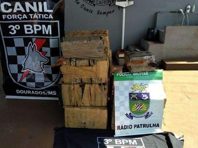 Pol&iacute;cia apreende quase meia tonelada de maconha escondida no mato