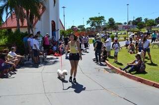 Cãominhada reuniu 120 cães nos altos da avenida Afonso Pena (Foto: Mariana Lopes)