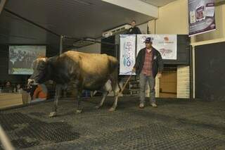 Ao todo, 75 animais foram vendidos durante o leilão de gado leiteiro (Foto: Divulgação/Assessoria)