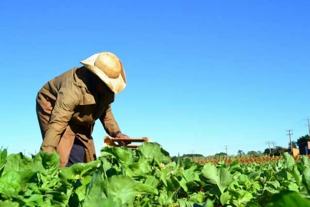 Com crise na &aacute;gua, Capital busca meios para alimentar 2 milh&otilde;es
