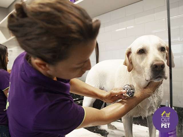 Conheça o Outpet. O pet shop que entende o que seu pet quer e precisa