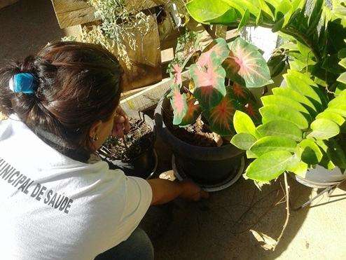 Sobe para 119 o n&uacute;mero de casos suspeitos de febre Chikungunya