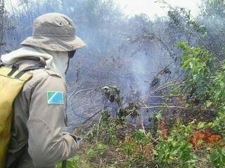 Chamas se alastraram por 3 km da planície pantaneira (Foto:Divulgação/Bombeiros) 