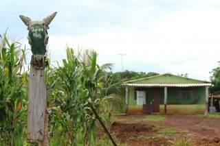 Região tem predomínio de chácaras, com cultivo e milho e mandioca. (Foto: André Bittar)