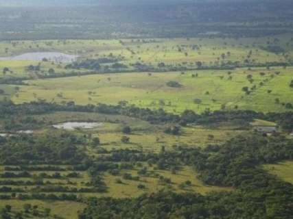 Perto do prazo, 35% das propriedades ainda não estão no cadastro ambiental