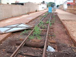 Trilhos da antiga linha férrea permeiam as duas orlas (Foto: Fernando da Mata)