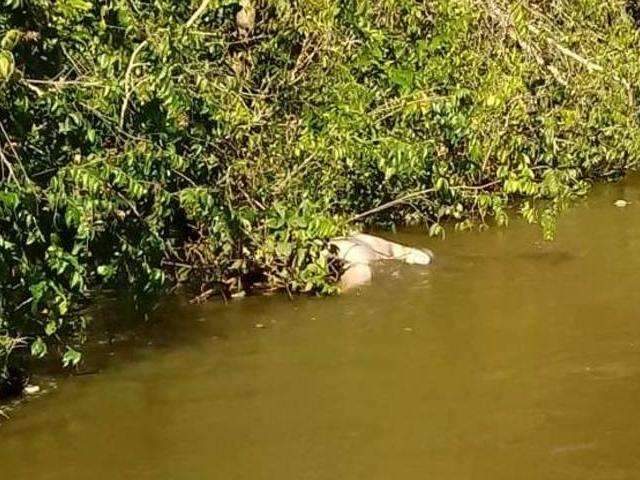 Corpo &eacute; encontrado enroscado em galho de &aacute;rvore em rio