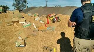 A PRF de Guaíra aprendeu 4,2 toneladas de maconha em meio a carga de aveia carregadas em Ponta Porã (Divulgação/PortalGuaira.com)