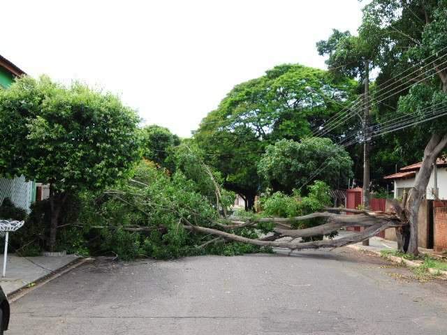 Ainda falta energia em diversos pontos de Campo Grande ap&oacute;s temporal