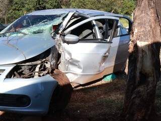 Veículo ficou destruído após bater em árvore em canteiro. (Foto: Henrique Kawaminami)