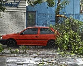 Em Corumbá, quedas de galhos de árvores atingiram casas e carros. (Foto: Anderson Gallo/Diário Corumbaense)