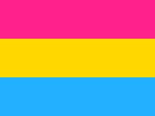 Bandeira Pansexual reúne as cores rosa e azul, simbolizando os gêneros binários e a cor amarela, representando os não binários. (Foto: Reprodução/Internet)