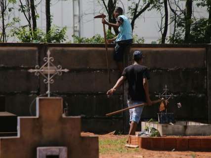 MPE flagra cerca de 50 crianças trabalhando em cemitérios da Capital