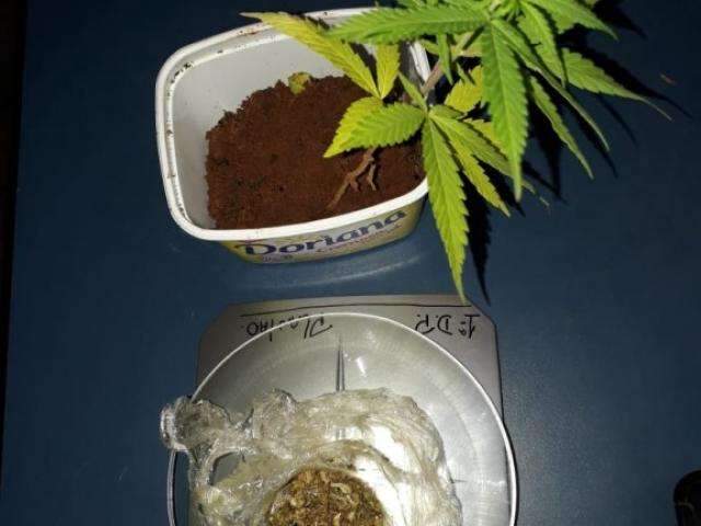 Marido agride mulher e PM descobre cultivo de maconha na resid&ecirc;ncia