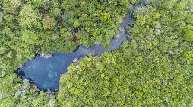 Governo vai remunerar pessoas e entidades que atuam na conserva&ccedil;&atilde;o ambiental
