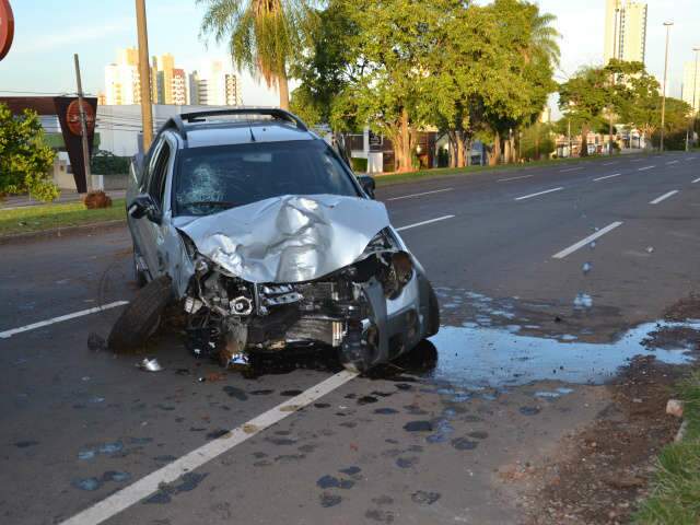  Picape cruza canteiro da Afonso Pena, derruba coqueiro e para na contram&atilde;o 