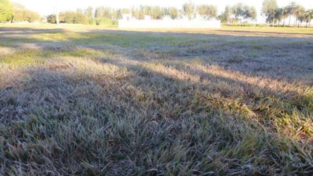 Frio intenso causado por massa de ar polar provoca geada no interior