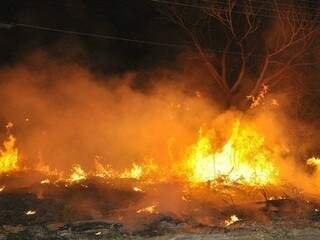 Incêndio em vegetação em Mato Grosso do Sul (Foto: Diário Corumbaense)