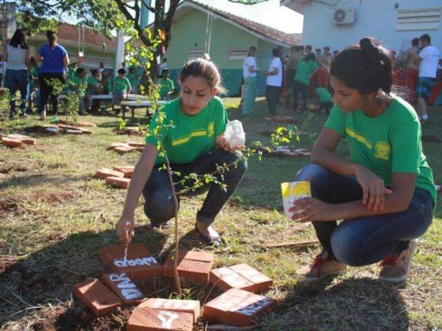 Alunos realizam plantio de &aacute;rvores no &quot;Bosque das Palavras&quot; na Capital