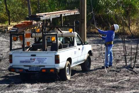Morador põe fogo, destrói reserva ecológica e mata bichos na Capital
