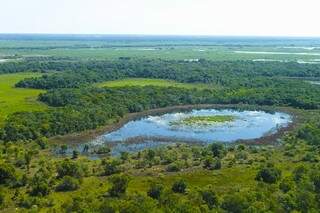 O Pantanal é o bioma mais preservado do Brasil e concilia, há mais de 270 anos, produção pecuária e preservação do meio ambiente. (Foto: Divulgação)
