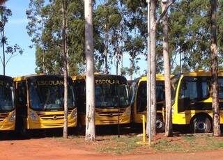 Dos 54 ônibus, 30 já estão em Mato Grosso do Sul (Foto: Lucimar Couto)