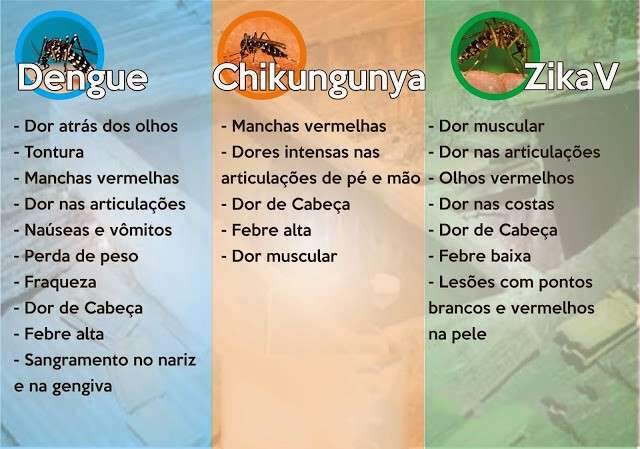 Em meio ao temor do Zika, jornalista fala da supera&ccedil;&atilde;o da microcefalia