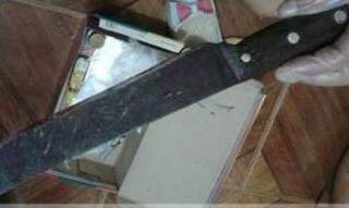 A faca que, segundo a Polícia, foi usada pela mãe para matar uma filha e ferir a outra. (Foto: Tribuna Livre)