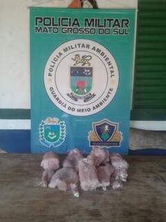 Imagem divulgada pela Polícia Ambiental, com os 10 quilos de carne de jacaré. (Foto: Divulgação)