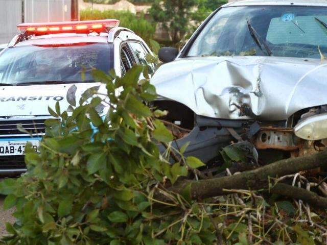 Condutor desvia de moto, mas acerta &aacute;rvore na C&ocirc;nsul Assaf Trad 