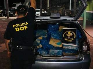 Traficante abandona 249 kg de maconha ap&oacute;s bater ve&iacute;culo em persegui&ccedil;&atilde;o