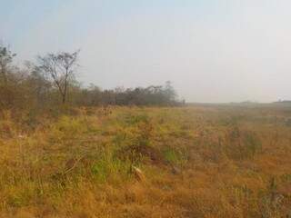Área desmatada em fazenda no município de Aparecida do Taboado. (Foto: Divulgação/PMA)