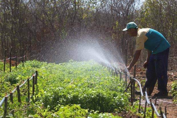 Programa de combate &agrave; fome atender&aacute; 1.400 agricultores em MS