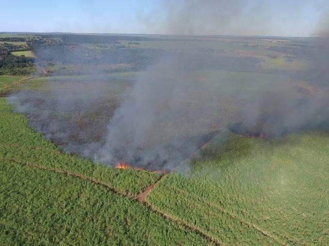 Inc&ecirc;ndio consome canavial e amea&ccedil;a resid&ecirc;ncias em cidade do interior 