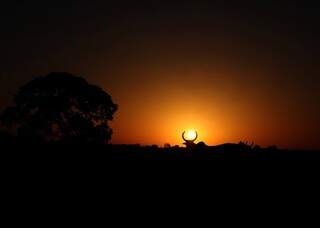 Gado pasta ao pôr do sol em fazenda do interior de Mato Grosso do Sul. (Foto: João Garrigó)