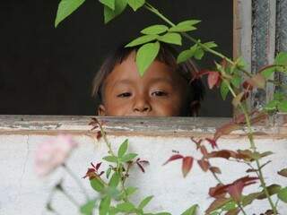 Criança Ofayé observa o fotógrafo na aldeia onde vivem em Brasilândia (Foto: Ascom/MPF)