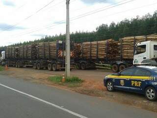 Veículos que transportavam toras de eucalipto foram fiscalizados pela PRF (Foto: Divulgação/PRF)