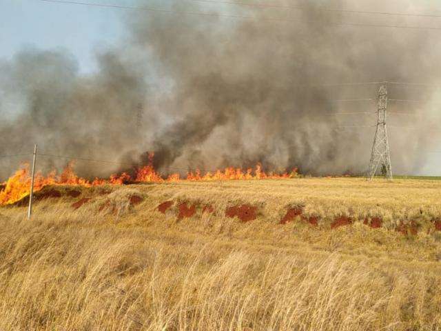 Inc&ecirc;ndio em lavouras desligou rede de energia el&eacute;trica, informa Energisa
