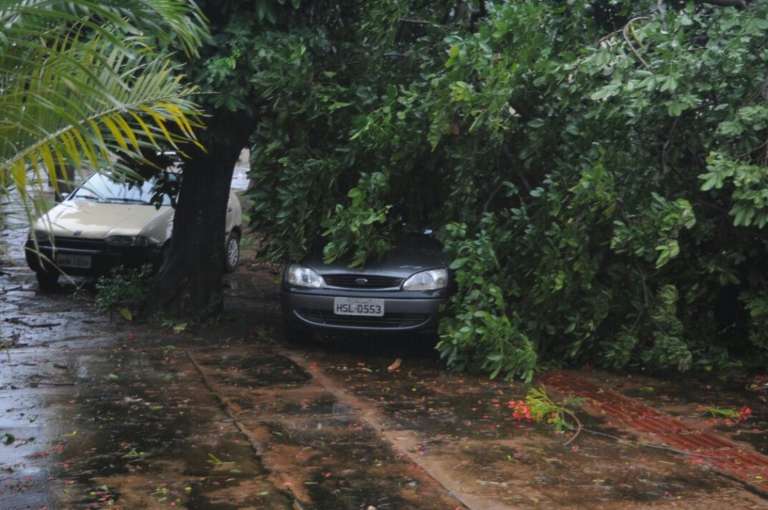 O carro do morador também foi atingido pela árvore (Foto: Paulo Francis)
